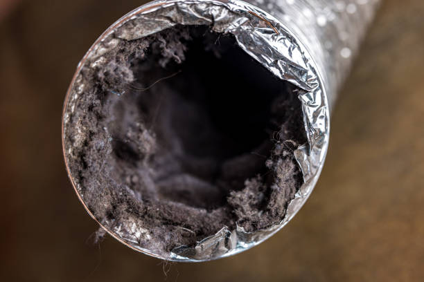 Best Air Duct Cleaning Near Me  in Dos Palos, CA